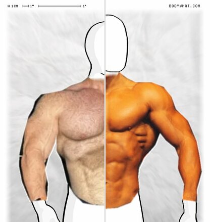 Torso Comparison