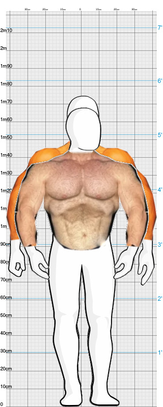 Full Size Comparison
