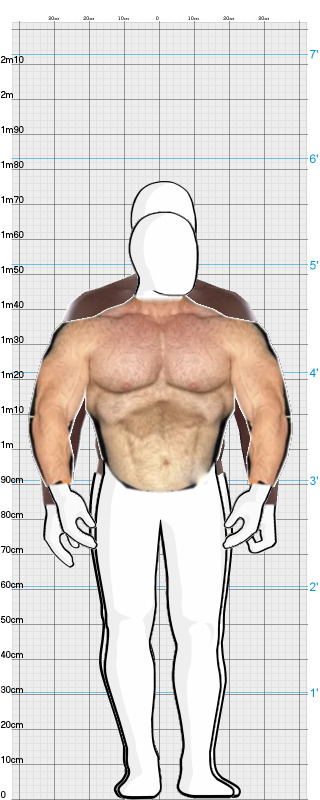 Full Size Comparison