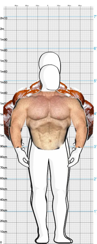 Full Size Comparison