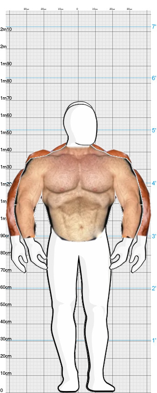 Full Size Comparison
