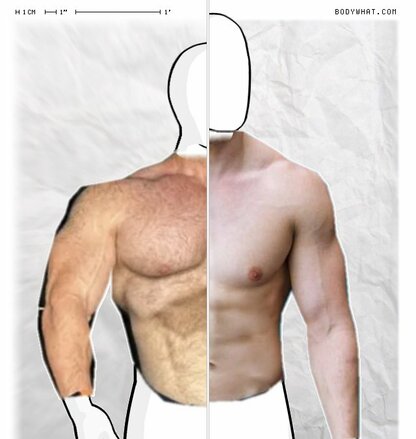 Torso Comparison