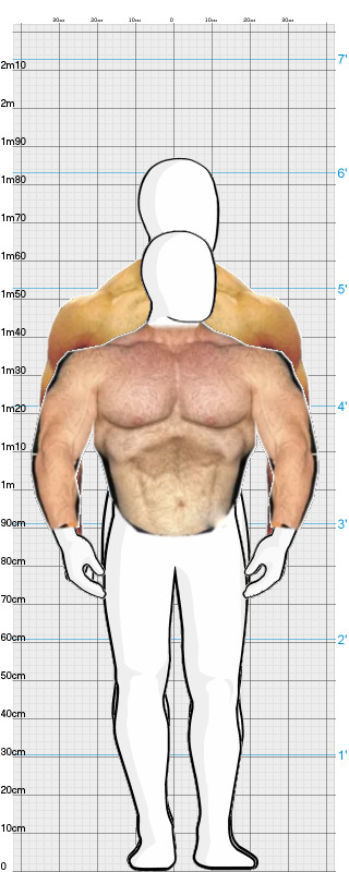 Full Size Comparison