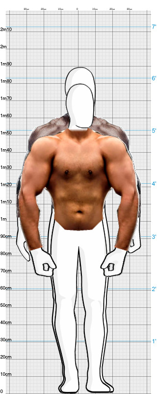 Full Size Comparison