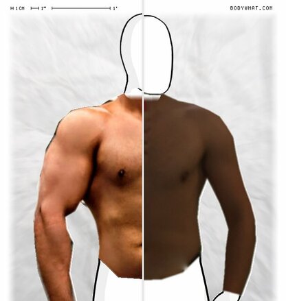 Torso Comparison