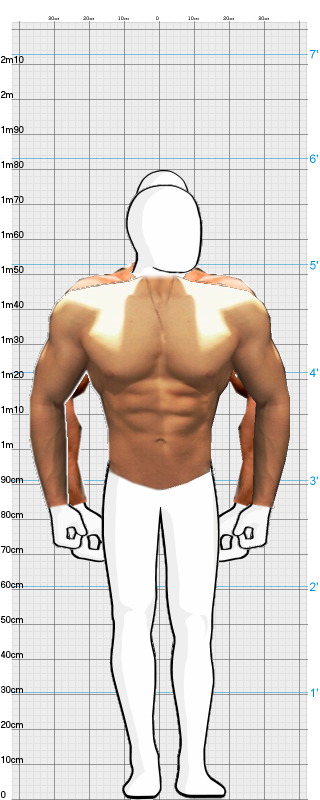 Full Size Comparison