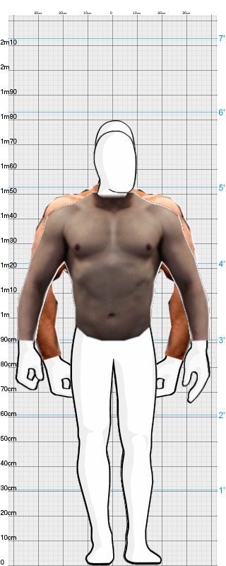 Full Size Comparison