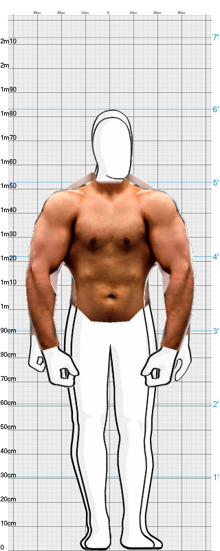 Full Size Comparison