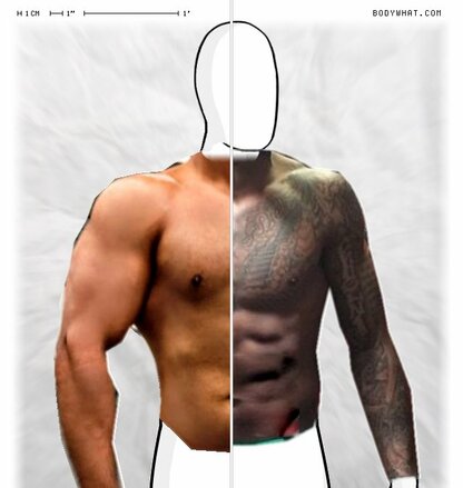 Torso Comparison