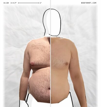 Torso Comparison