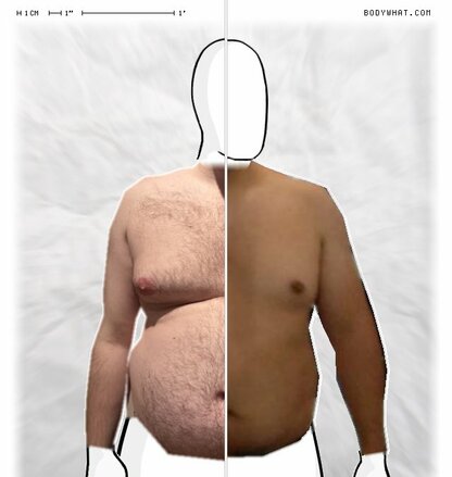 Torso Comparison