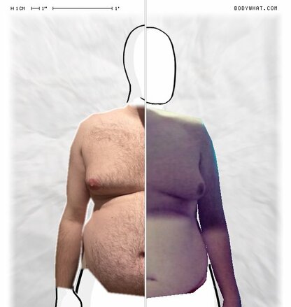 Torso Comparison