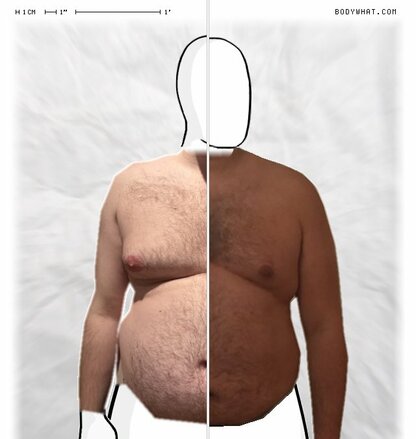 Torso Comparison