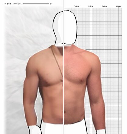 Torso Comparison