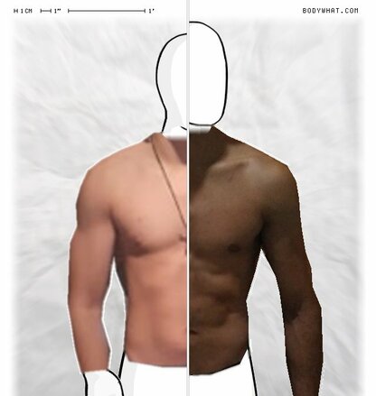 Torso Comparison