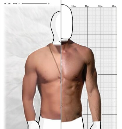 Torso Comparison