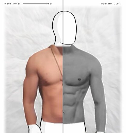 Torso Comparison