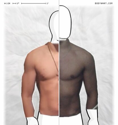 Torso Comparison