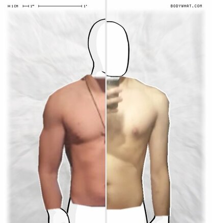 Torso Comparison