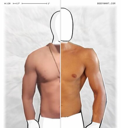 Torso Comparison