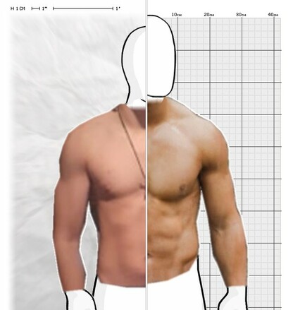 Torso Comparison