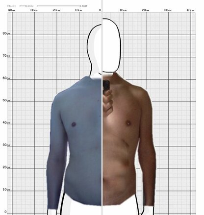 Torso Comparison