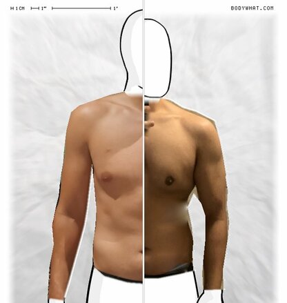 Torso Comparison