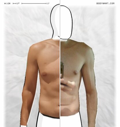 Torso Comparison
