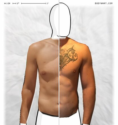 Torso Comparison