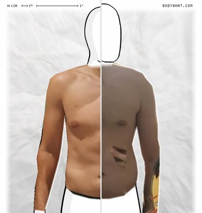 Torso Comparison