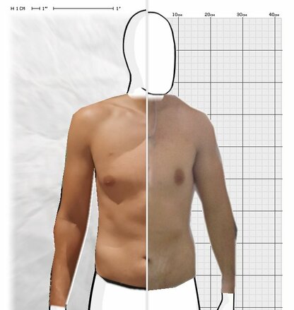Torso Comparison