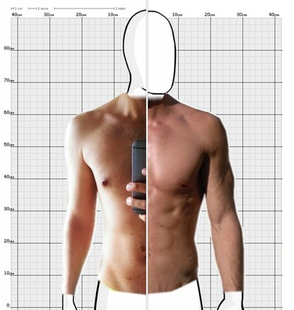 Torso Comparison
