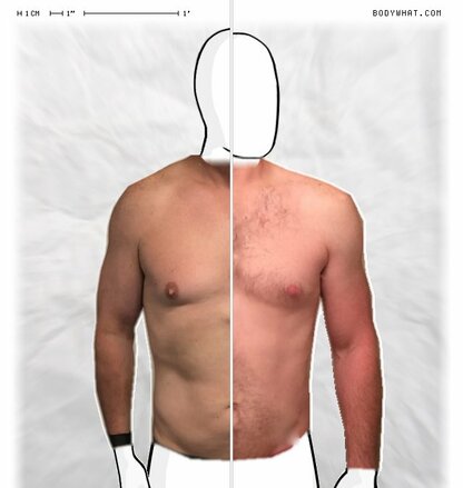 Torso Comparison