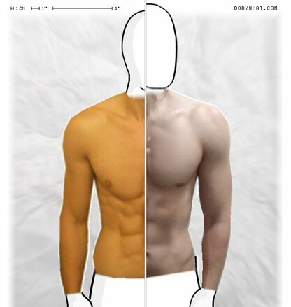 Torso Comparison