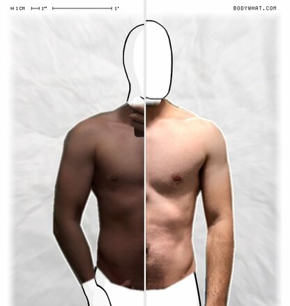 Torso Comparison