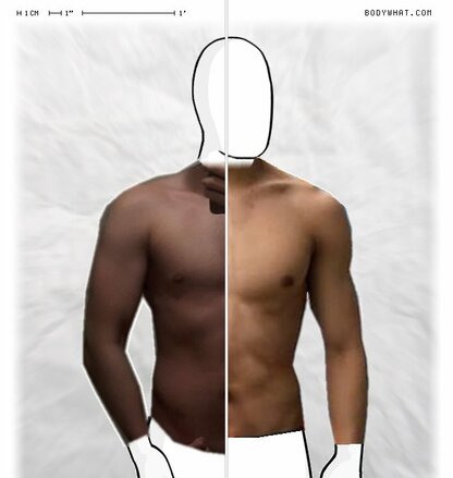 Torso Comparison