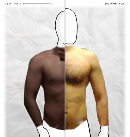 Torso Comparison