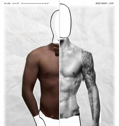 Torso Comparison