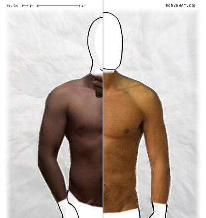 Torso Comparison