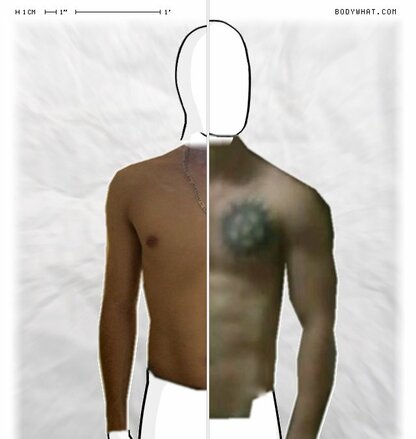 Torso Comparison