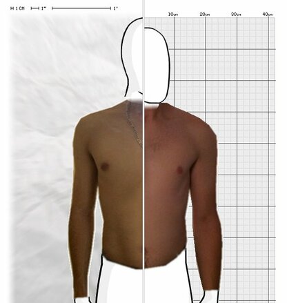 Torso Comparison