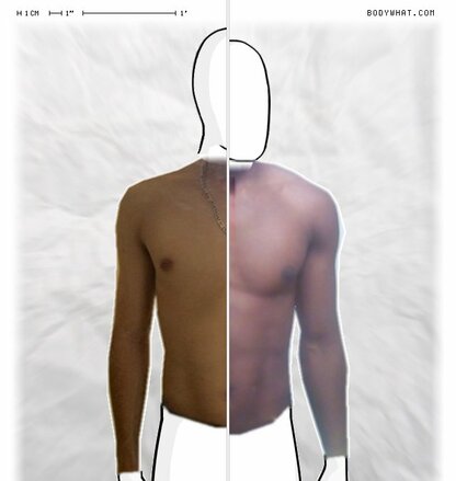 Torso Comparison