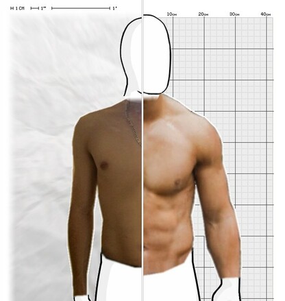 Torso Comparison