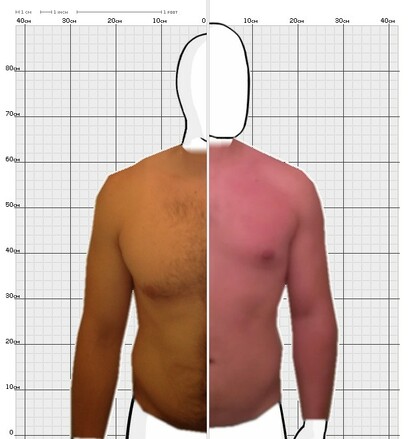Torso Comparison
