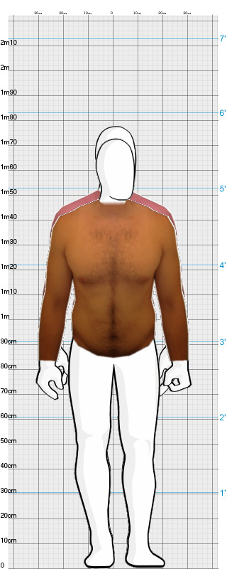 Full Size Comparison