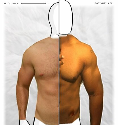 Torso Comparison