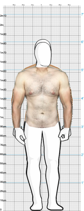 Full Size Comparison