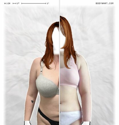 Torso Comparison