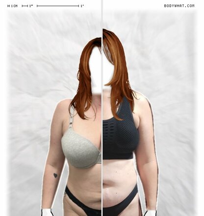Torso Comparison