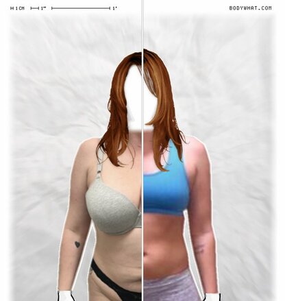 Torso Comparison